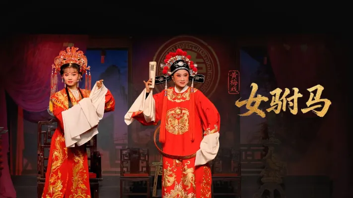 黄梅戏《女驸马》完整版-安徽芜湖黄梅戏剧团