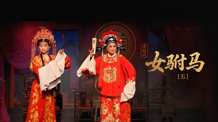 黄梅戏《女驸马》第五场-安徽芜湖黄梅戏剧团