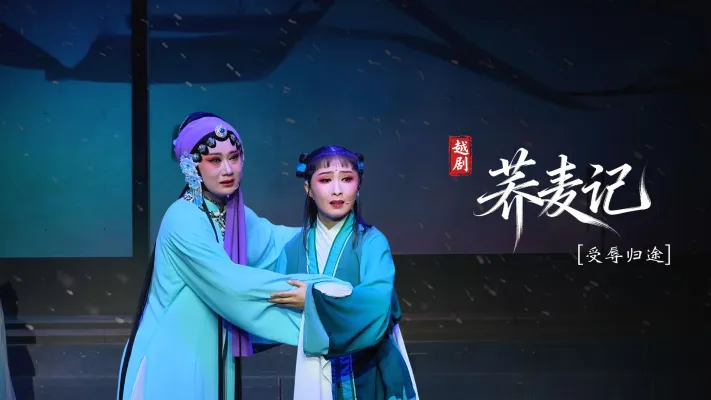 黄梅戏《荞麦记》第五场：受辱归途-安徽芜湖黄梅戏剧团