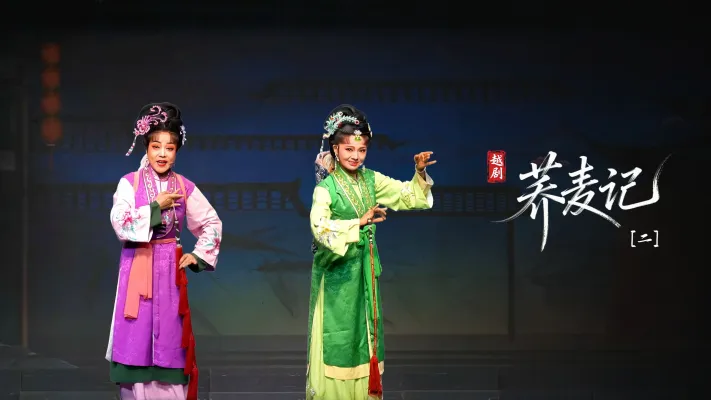 黄梅戏《荞麦记》第二场-安徽芜湖黄梅戏剧团