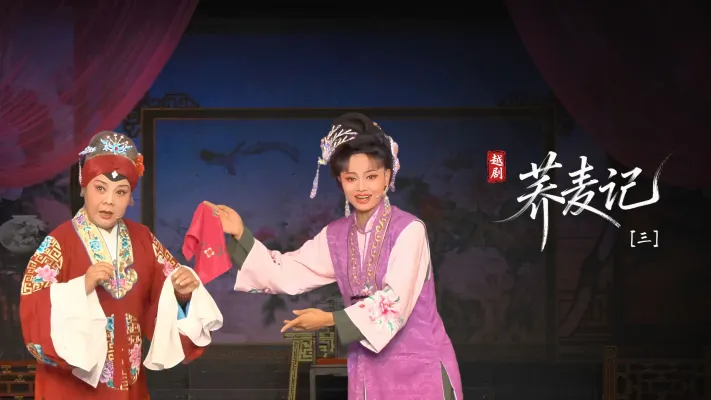 黄梅戏《荞麦记》第三场-安徽芜湖黄梅戏剧团