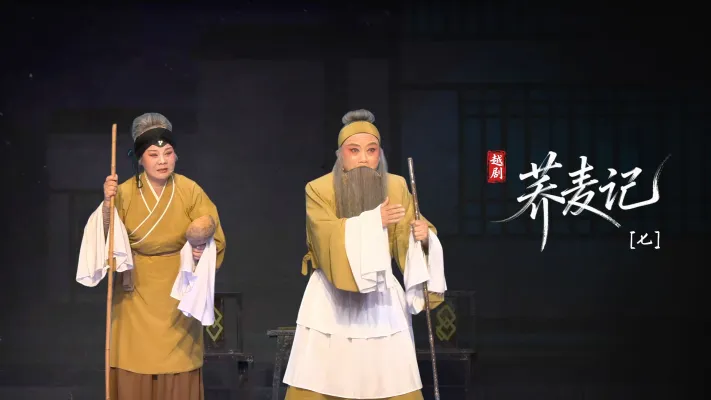 黄梅戏《荞麦记》第七场-安徽芜湖黄梅戏剧团