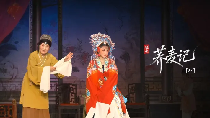 黄梅戏《荞麦记》第八场-安徽芜湖黄梅戏剧团